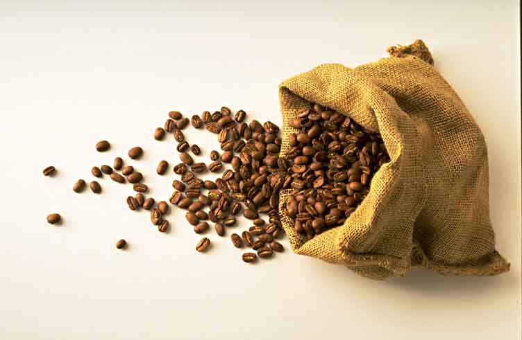 Un sac en toile de jute rempli de grains de café fraîchement torréfiés, représentant la riche histoire et la culture du café dans le monde arabe.
