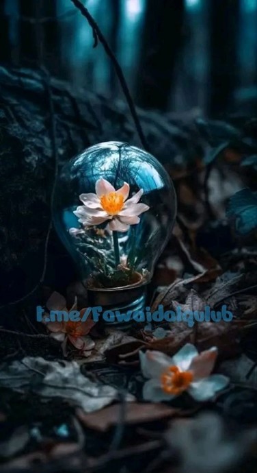 Une fleur lumineuse enfermée dans une ampoule repose sur un sol forestier sombre.
