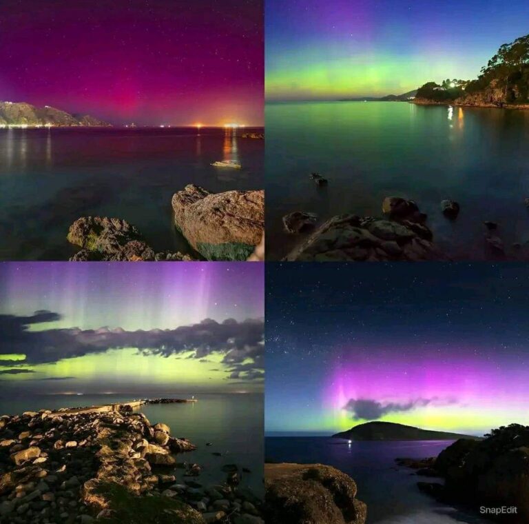 Aurores Boréales en Algérie