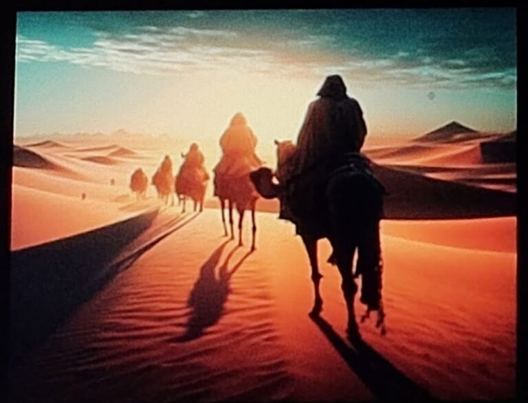 Livre Uqba Ibn Nafi&rsquo;i – La conquête de l&rsquo;islam en Afrique.