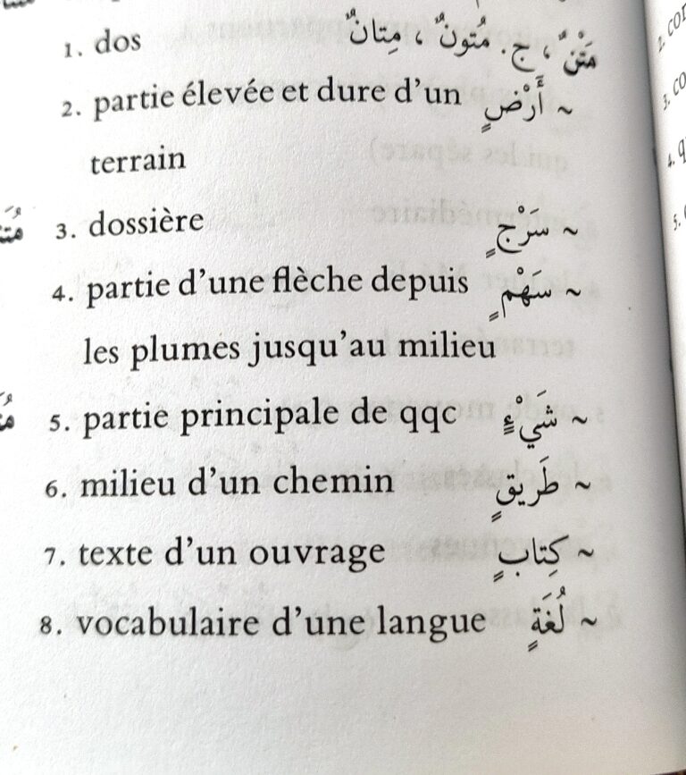 Comprendre la racine arabe م ت ن (matan) – Un exemple de richesse sémantique