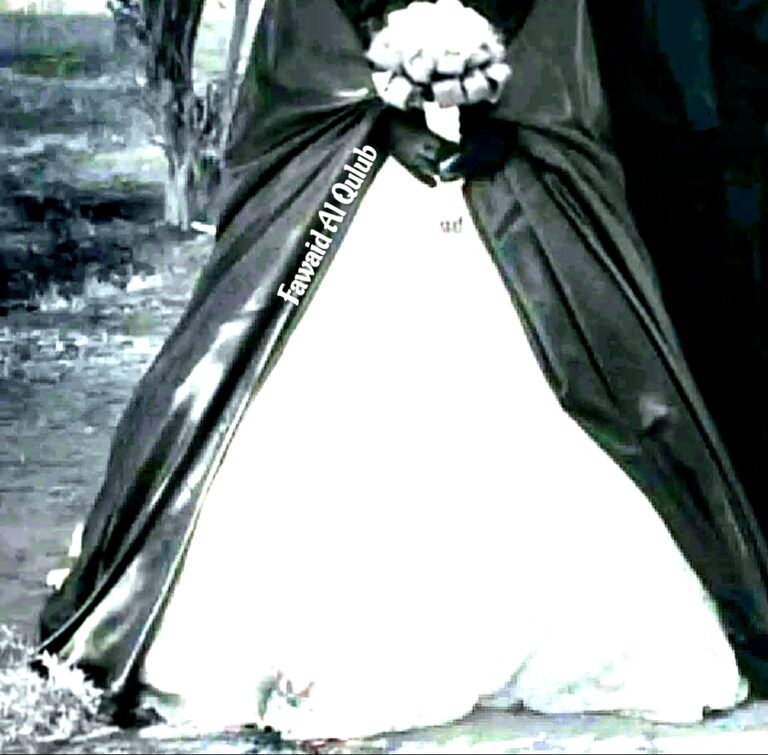 نساء لا تُشترى – Femmes qui ne s&rsquo;achetent pas