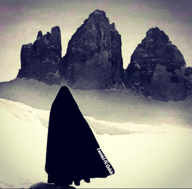 La femme dans l&rsquo;ombre du désert