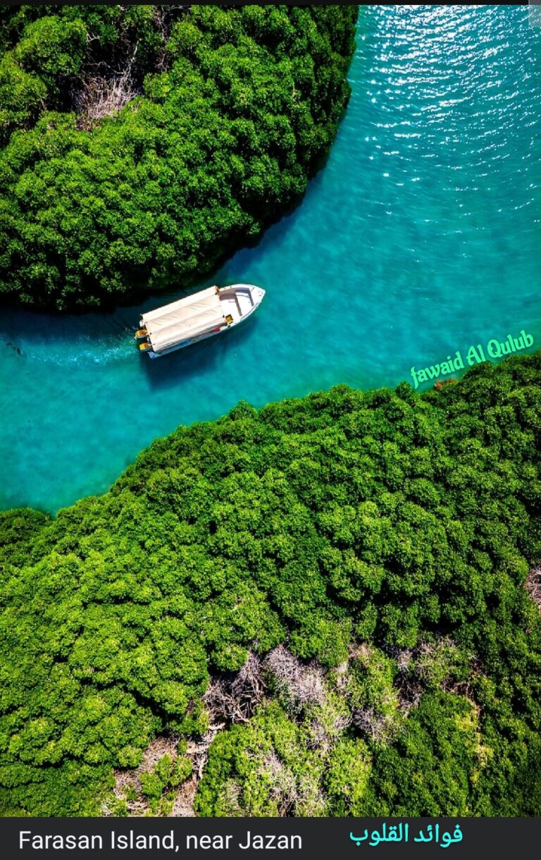Les Îles Farasan : Trésor caché de la mer Rouge