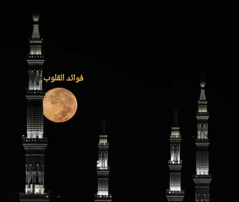 قصيدة في مدح وشجاعة النبي ﷺ