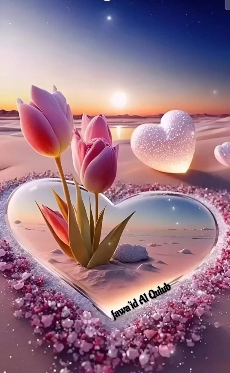 Ô cœur, sois patient : avance dans la voie qui mène à Allah en toute confiance